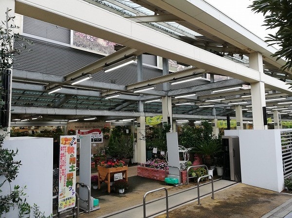 園芸店を巡って 神奈川県にある サカタのタネ ガーデンセンター横浜 に行ってきました 日向で雪遊び