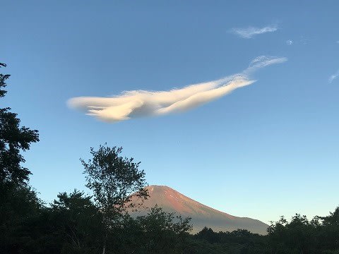 鯨雲 | アユコロ商店