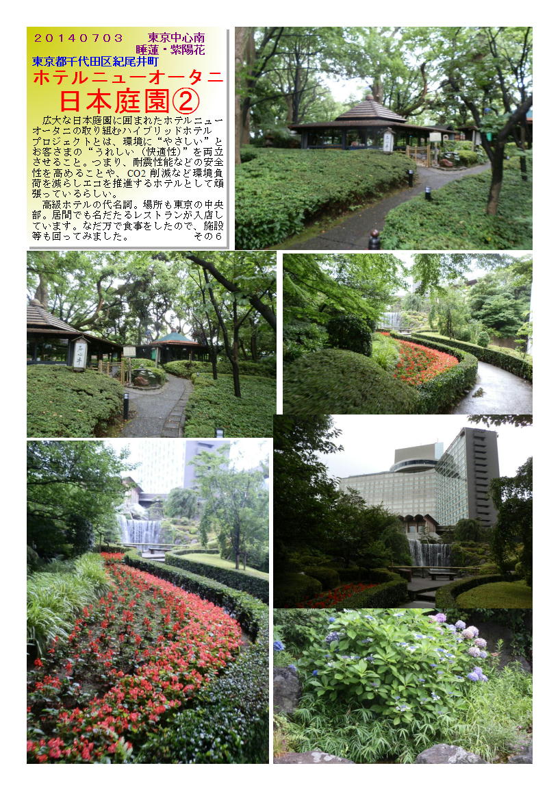 紫陽花 ４８ 日本庭園 ホテルニューオータニ 私の花散策