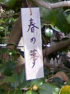 Pap_0007a