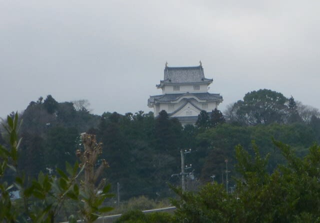 大多喜城が遠くに見えた