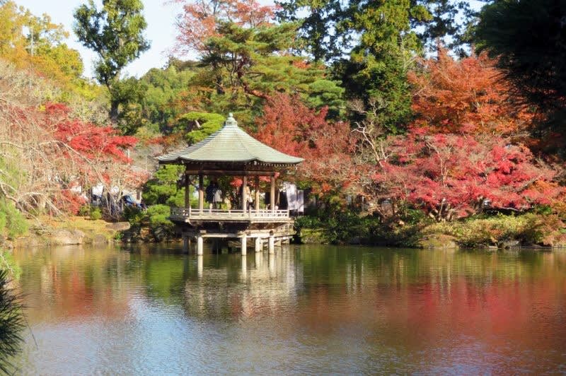 成田山公園の紅葉まつり 写真で綴るすぎさんのブログ