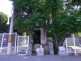 塔C