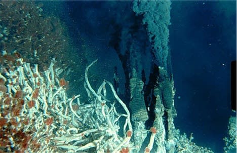 熱水噴出孔 深海の温泉 海人の深深たる海底に向いてー深海の不思議ー 熱水噴出孔 深海の温泉 海人の深深たる海底に向いてー深海の不思議ー