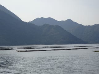 海2