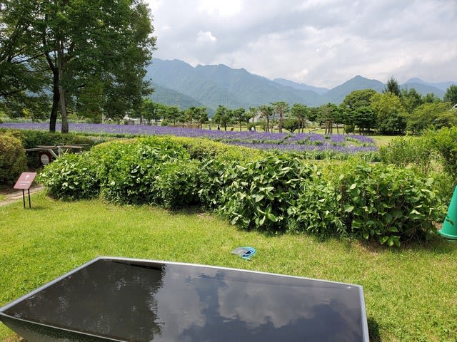 20190730_125527.jpg