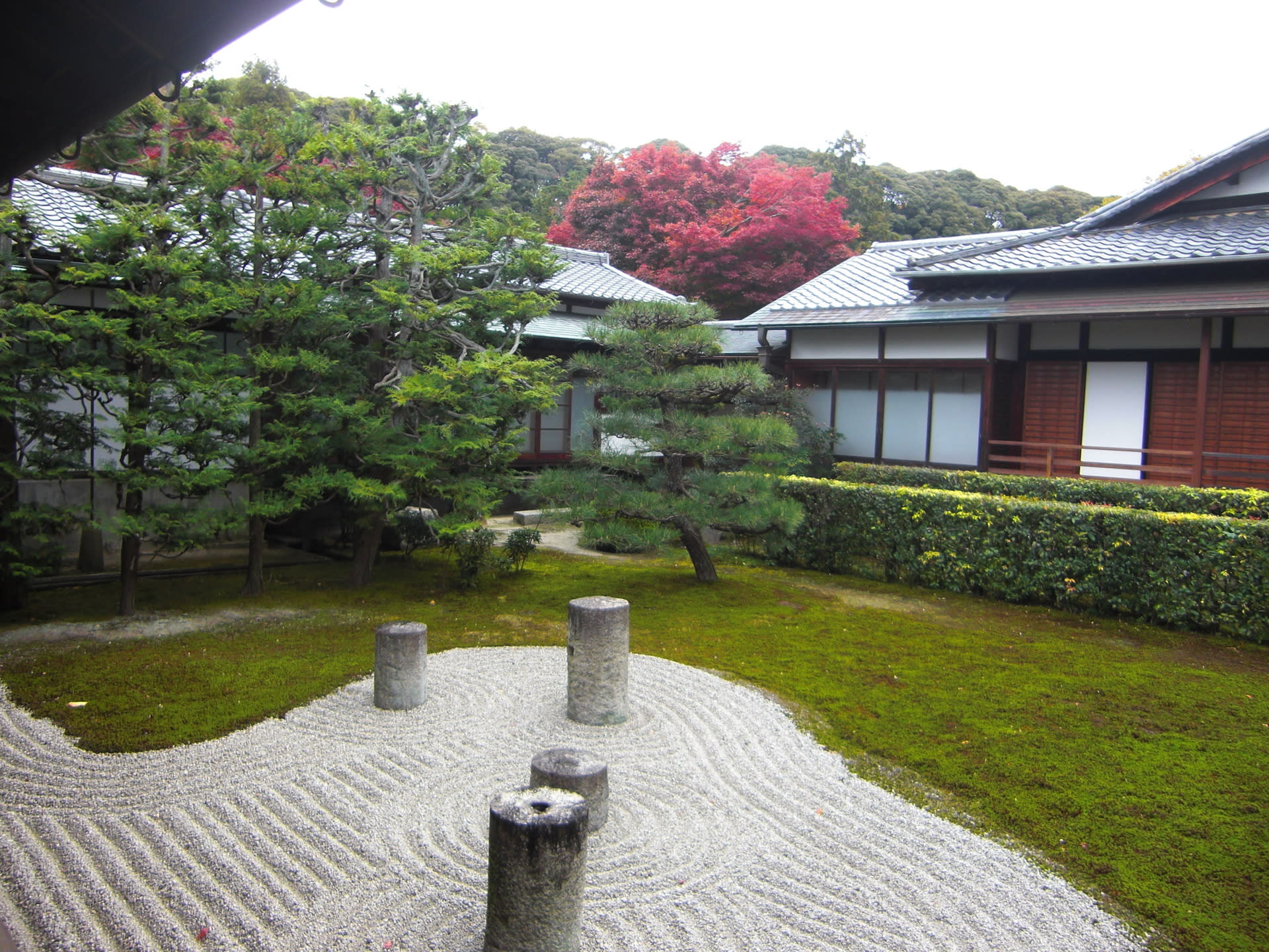 13年11月のブログ記事一覧 京都で定年後生活