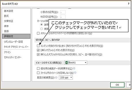 エクセル16 オートフィルオプションが出て来ない よちよち歩きのたわごと