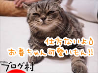 にほんブログ村 猫ブログ 完全室内飼