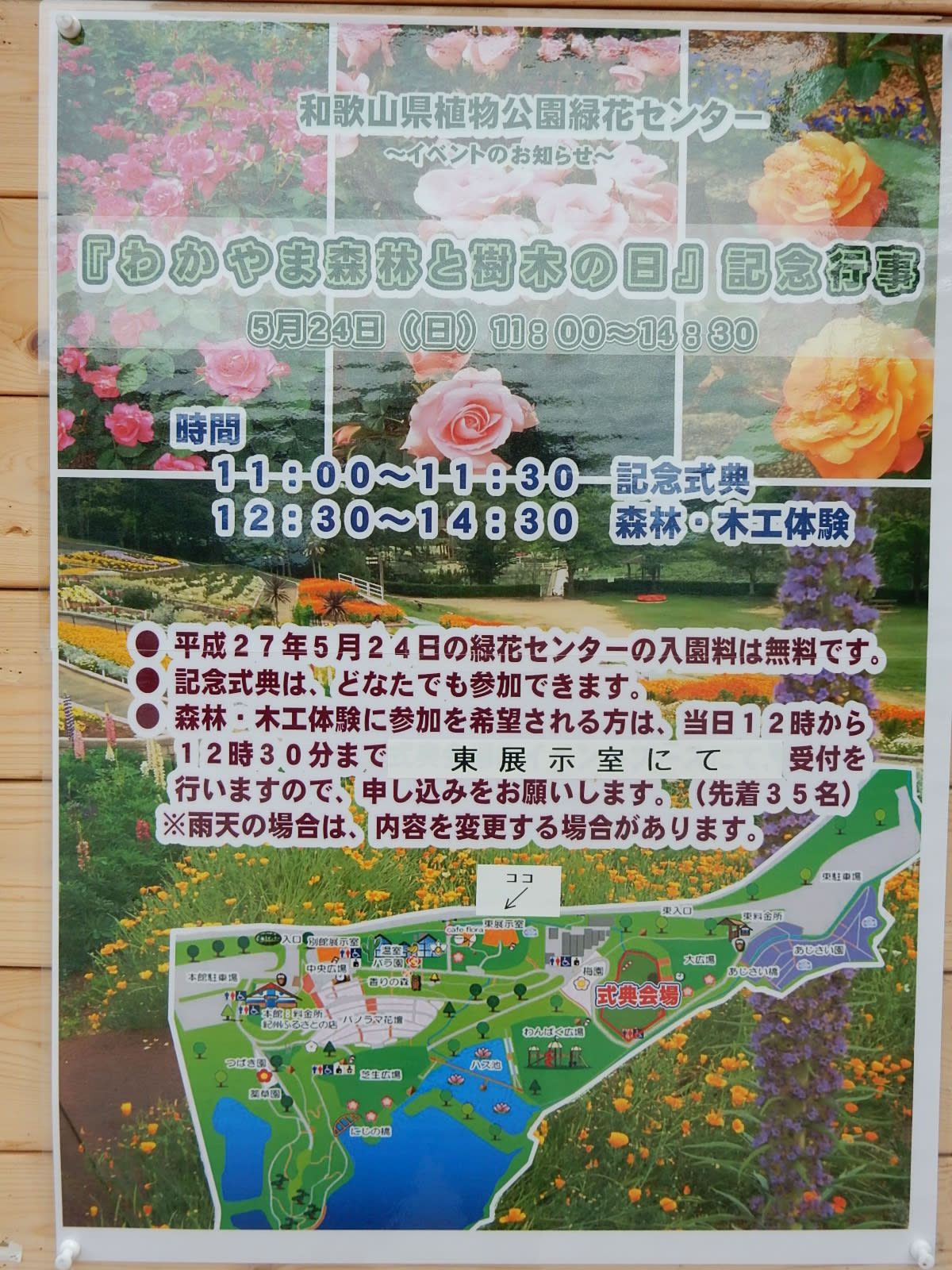 緑化センター 薔薇 和歌山県植物公園 デパ地下弁当いろいろ 緑化センター 薔薇 和歌山県植物公園 デパ地下弁当いろいろ