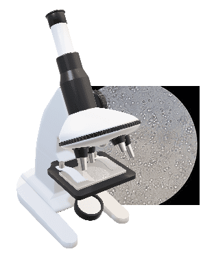 尿沈渣検査イメージ