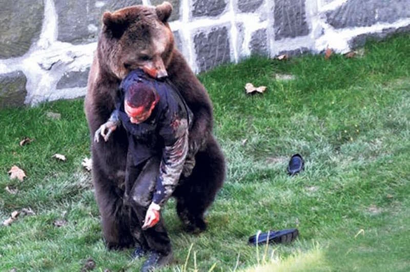 怖い ヒグマ キャンプ場でリアルに熊に遭遇して分かった事