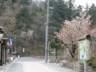 大山寺参道