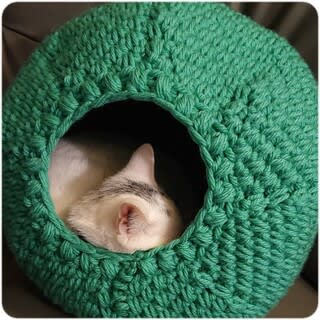 キャットドームを編む 福助の部屋