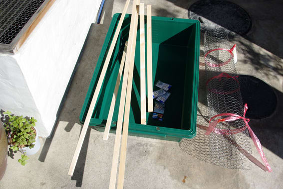 2月16日 プラ舟 趣味のいきもの飼育雑記 2月16日 プラ舟 趣味のいきもの飼育雑記