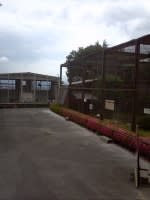 動物園