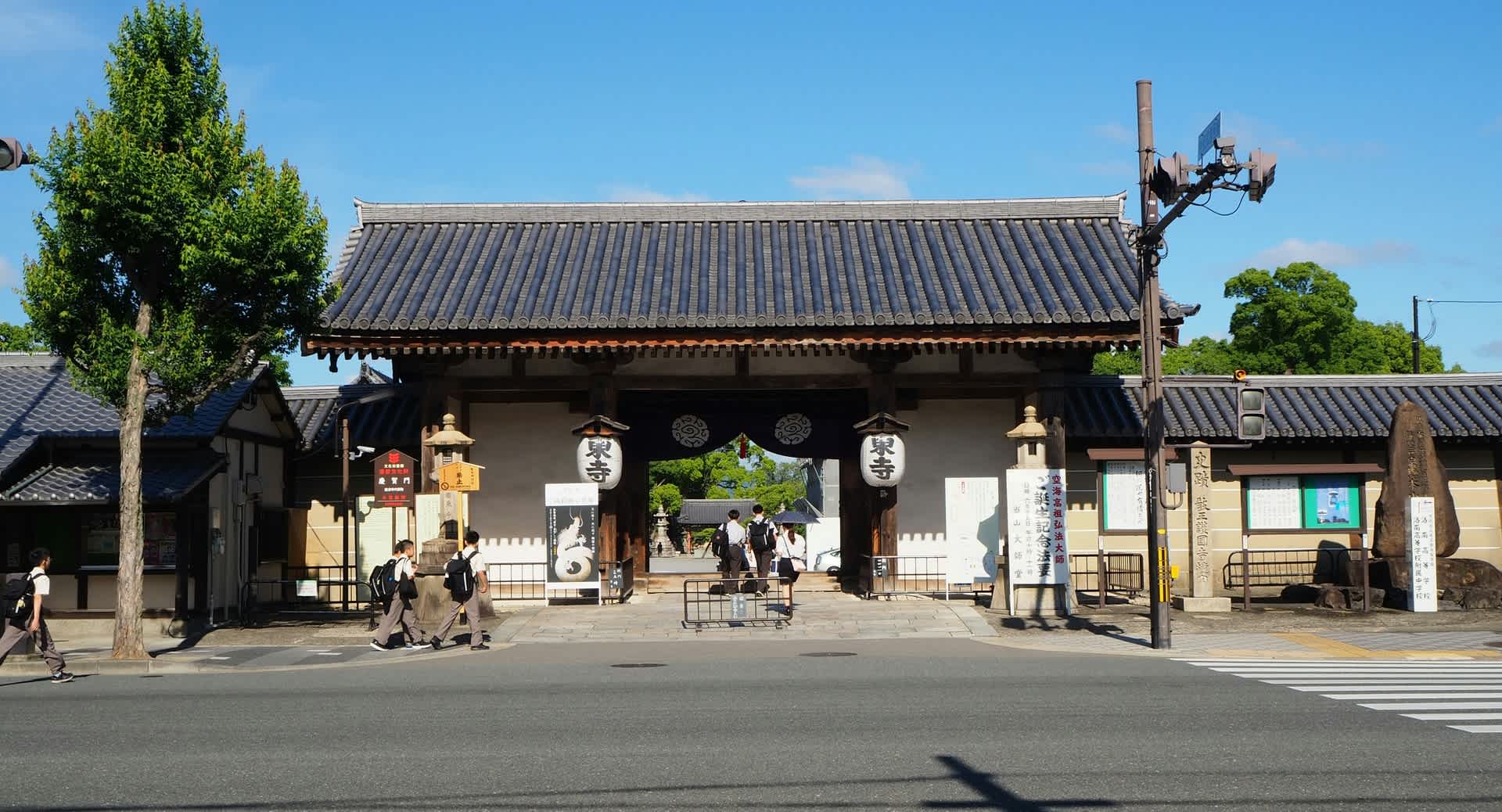東寺の蓮 京都で定年後生活 東寺の蓮 京都で定年後生活