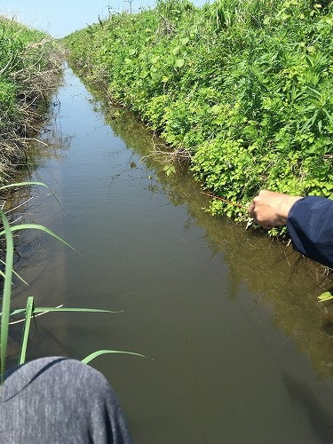 霞ヶ浦でタナゴ釣り 半農半漁 自給自足生活への挑戦 霞ヶ浦でタナゴ釣り 半農半漁 自給自足生活への挑戦