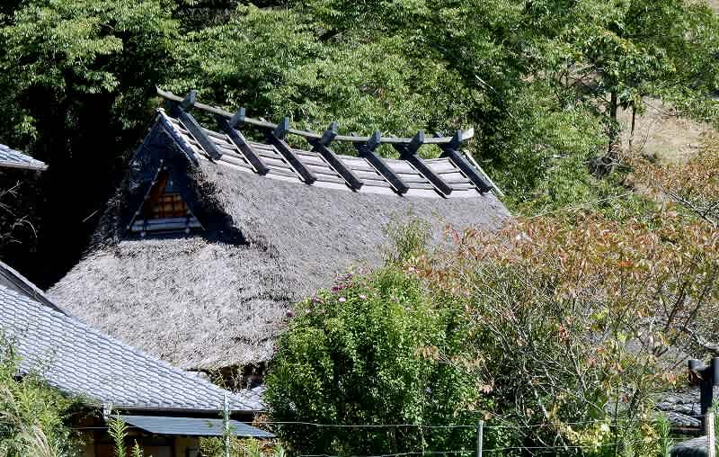 茅葺き屋根 上懸屋含む 大阪府 のブログ記事一覧 愛しきものたち