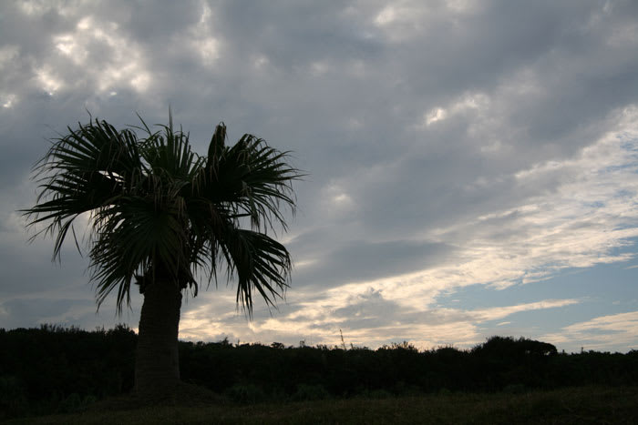 種子島の夕暮れ