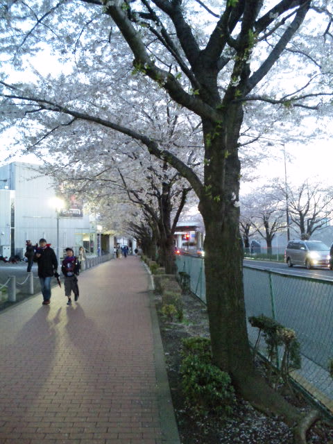 FC東京×鳥栖@味スタ 20140406fctokyost_14