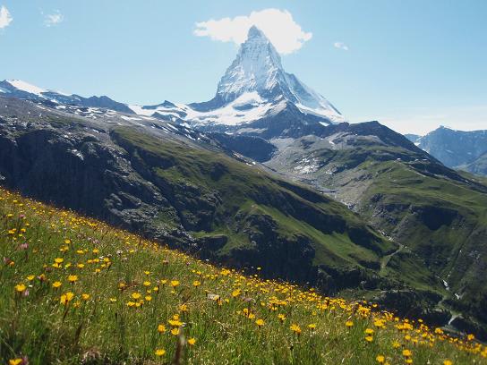 エーデルワイスを探して スイス アルプスを歩く 行雲流水 季節の花とともに