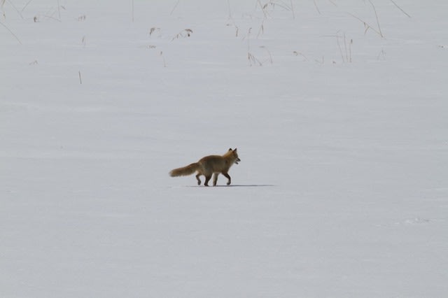 IMG_4911.jpg