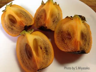柿の原種のミステリー 野菜ソムリエpro Andyのblog
