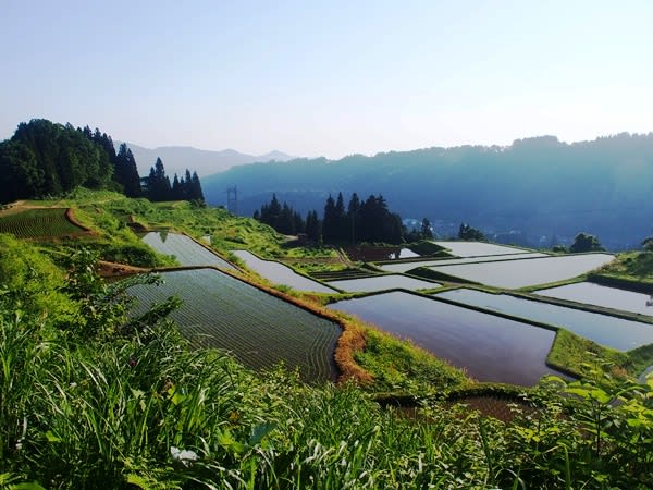 BLOG  日本棚田巡り　・車：東京方面からは、中央道飯田山本ICから国道151号、256号、県道89号経由（約15km）・鉄道・バス／えちごトキめき鉄道「新井駅」下車