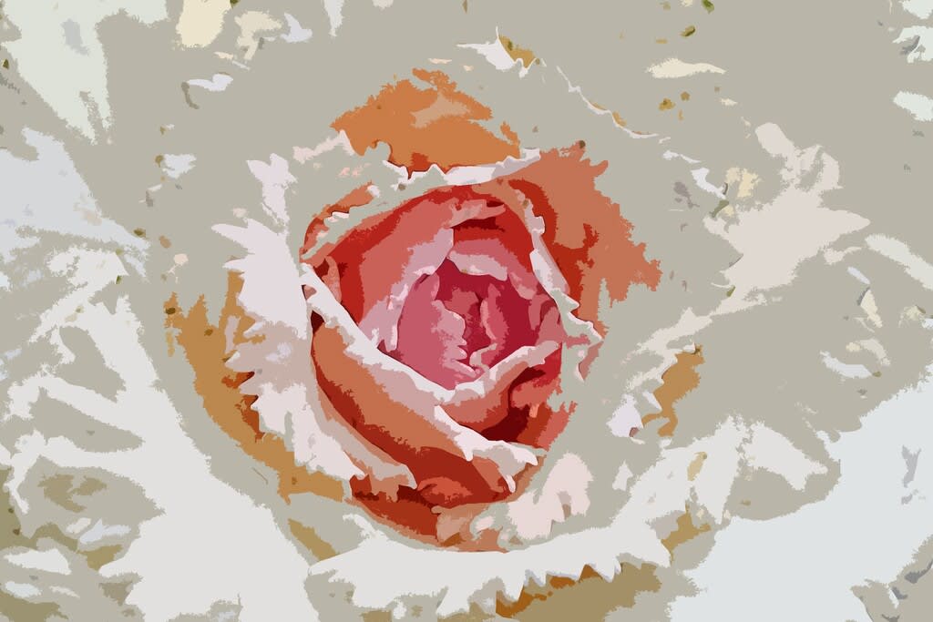 いま ある 花で 遊ぶ Kite Comの花を探して毎日ブラ散歩 いま ある 花で 遊ぶ Kite Comの花を探して毎日ブラ散歩