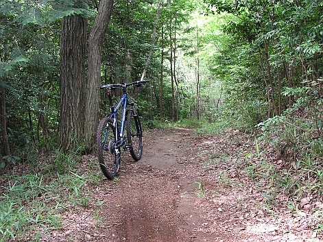 多摩湖　狭山湖　サイクリング