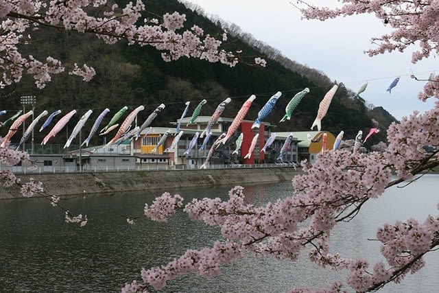 三休公園 周辺の桜 In 岡山 美咲町 続 旅するデジカメ 我が人生 三休公園 周辺の桜 In 岡山 美咲町 続 旅するデジカメ 我が人生