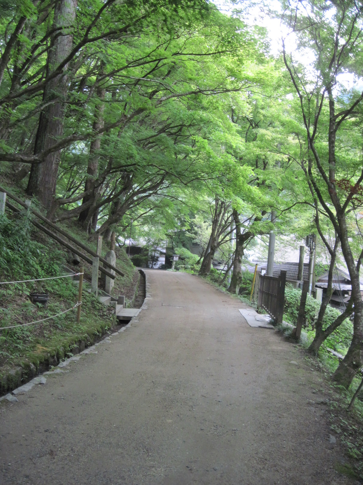 長距離散歩・香嵐渓の画像
