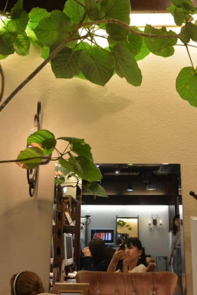 自宅での再現性に感動 町田の美容室deariumでカット カラー ヘッドスパとトリートメント コダワリの女のひとりごと
