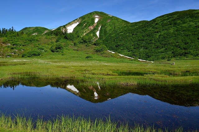 夏山の名山 山上の楽園火打山 - 気ままなピークハンターズの山旅