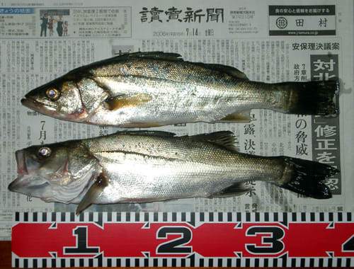 H180714 H180714