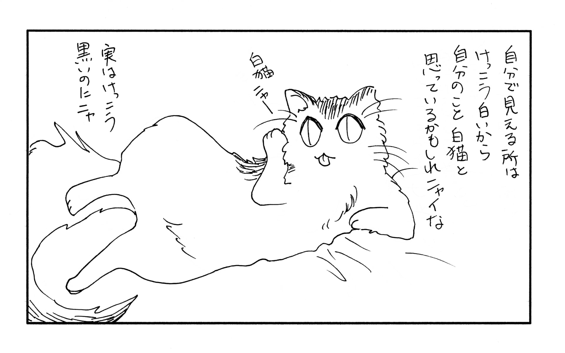白猫にゃー サラブレッド発達障害 白猫にゃー サラブレッド発達障害