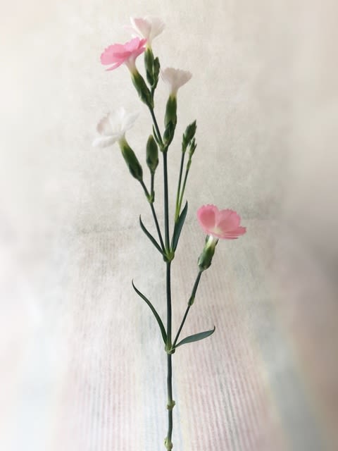 小さな花瓶 花のある生活