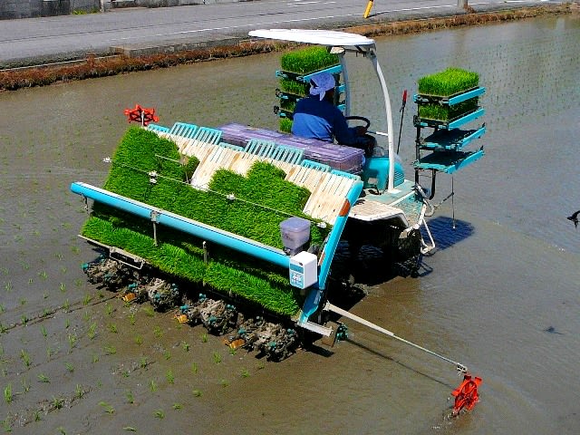 田植え始まる・・・の画像