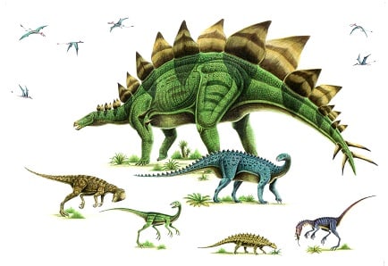 ステゴサウルスのポストカード 恐竜だいす記