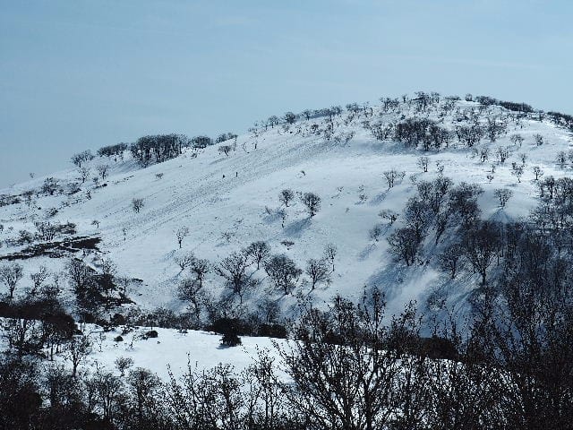 17年3月12日 日 鈴鹿 藤原岳は積雪多し 福寿草は2輪だけだったが大雪原に感動 Mr Dashのぶろぐ館