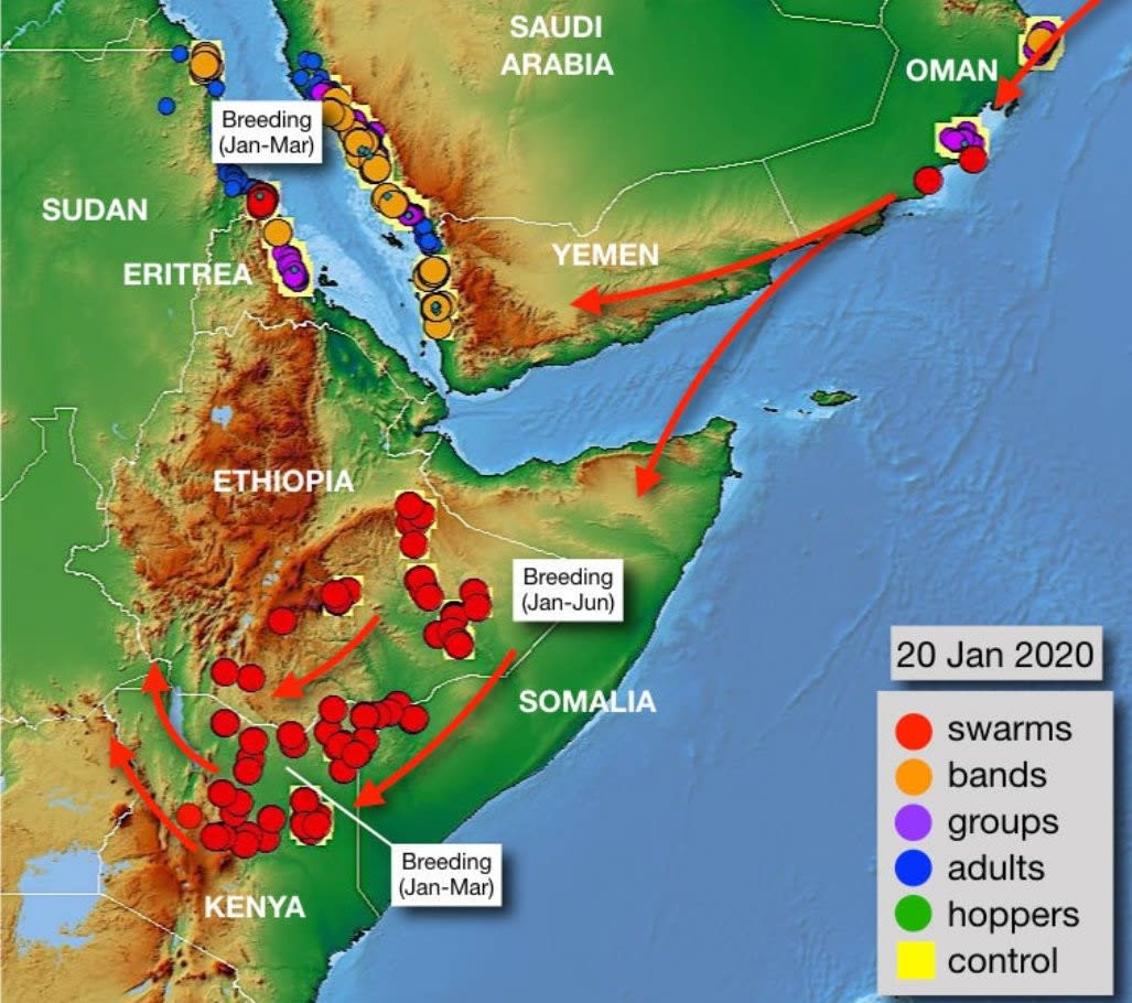 2020 発生 地図 大量 バッタ ソマリアが蝗害（こうがい）で「国家非常事態宣言」バッタ大量発生で甚大なダメージ【閲覧注意】