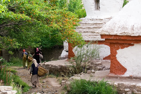 藤暁之の世界一周自転車の旅