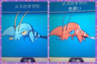 ウデッポウ The Pokemon Different Colors Collection