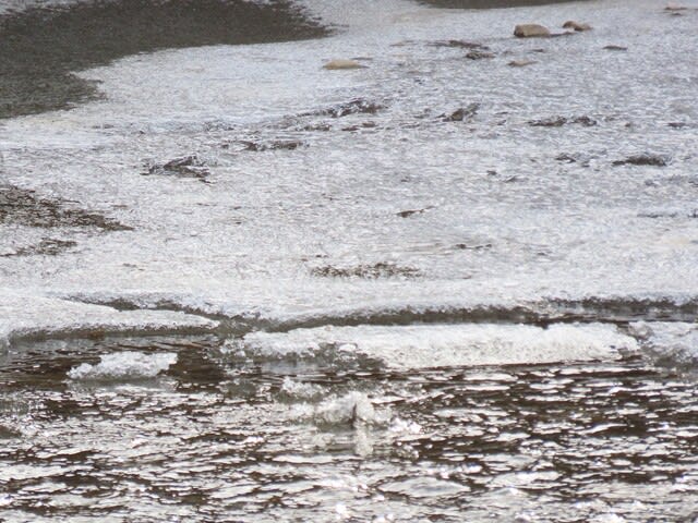 薄氷の張った田川