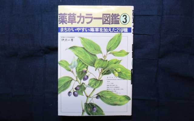 60代のことばたち 薬草カラー図鑑 散歩の閑人 メタ坊っちゃま メジャーデビューに気をつけて