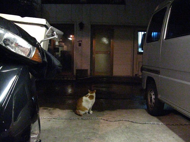 唖然 サラリーマン猫 デカヲ のお仕事