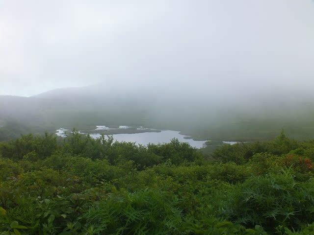 朝もやに包まれる八島ヶ原湿原