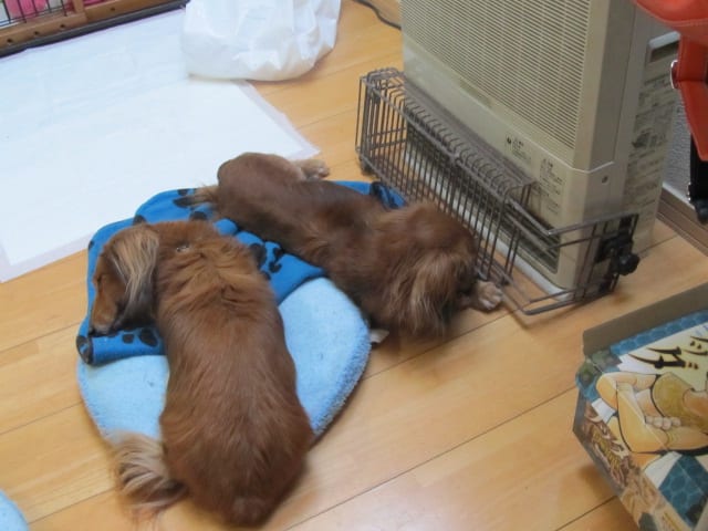 イメージ 1