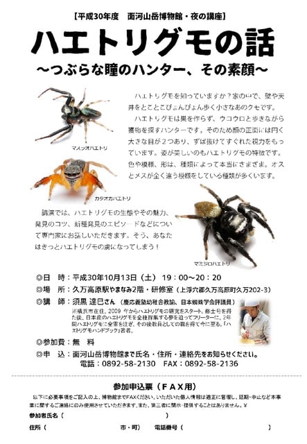 夜の講座 ハエトリグモの話 つぶらな瞳のハンター その素顔 のご案内 面河山岳博物館へようこそ